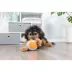 Chuckit!® Indoor Ball Dog Toy image thumbnail 5