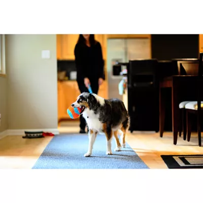 Product Chuckit!® Indoor Ball Dog Toy