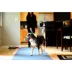 Chuckit!® Indoor Ball Dog Toy image thumbnail 6