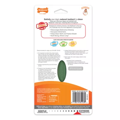 Product Nylabone® Power Chew Durable Dog Toy, Bacon Flavor