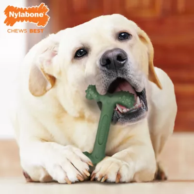 Product Nylabone® DuraChew® Power Chew Easy-Hold Dental Chew Dog Toy - Bacon Flavor