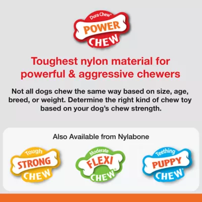 Product Nylabone® DuraChew® Power Chew Easy-Hold Dental Chew Dog Toy - Bacon Flavor