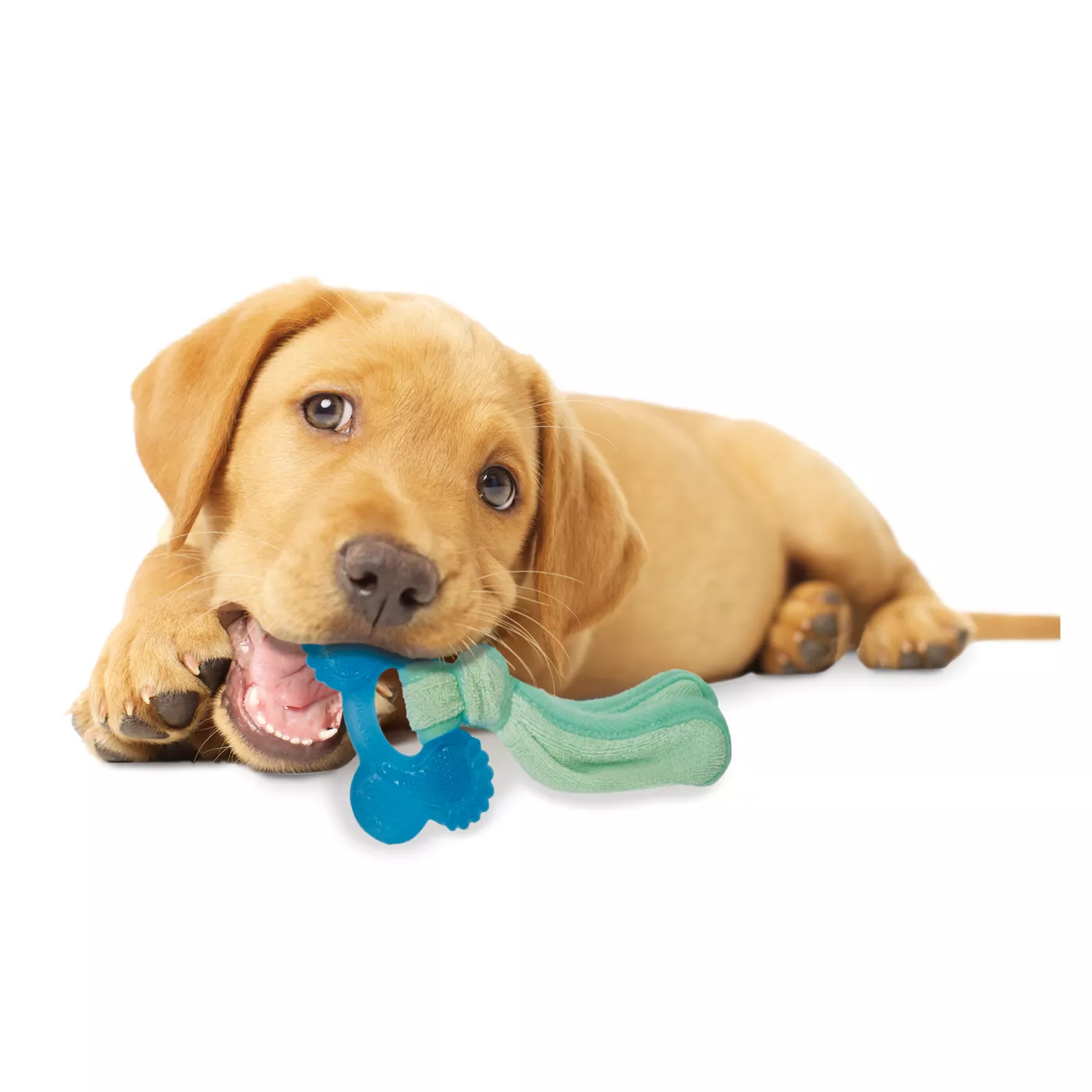 Frozen puppy teething toys best sale