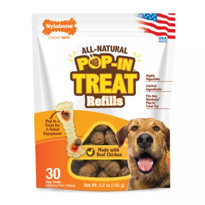 Product Nylabone® Pop-In Treat Refills - Chicken Flavor