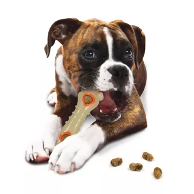 Product Nylabone® DuraChew® Power Chew Knuckle Bone & Pop-In Treat Combo Dog Toy - Chicken Flavor