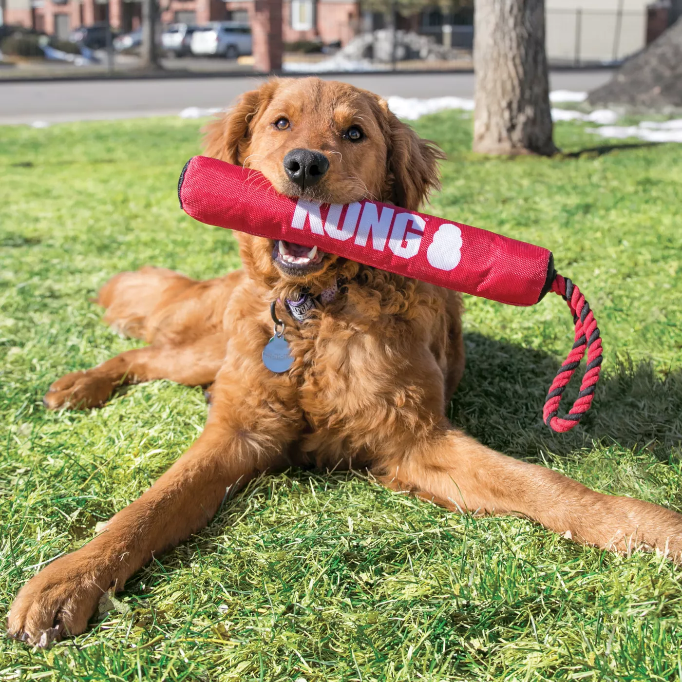 KONG Signature Stick with Rope Dog Toy Squeaker