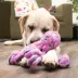 KONG® SoftSeas Octupus Dog Toy - Plush, Squeaker, Crinkle image thumbnail 2