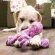 Product KONG® SoftSeas Octupus Dog Toy - Plush, Squeaker, Crinkle