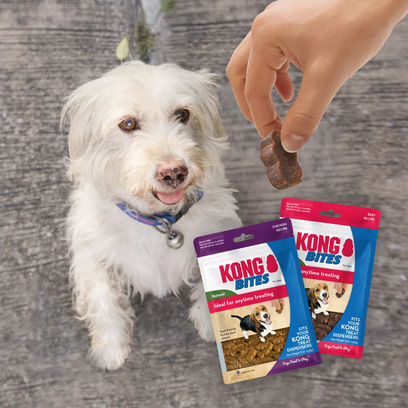KONG Bites Dog Treats