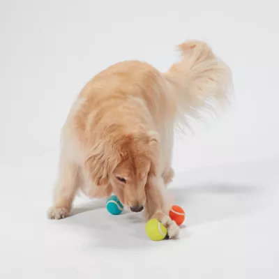 Product Joyhound Game On Colorful Tennis Ball Dog Toy - 3 Pack