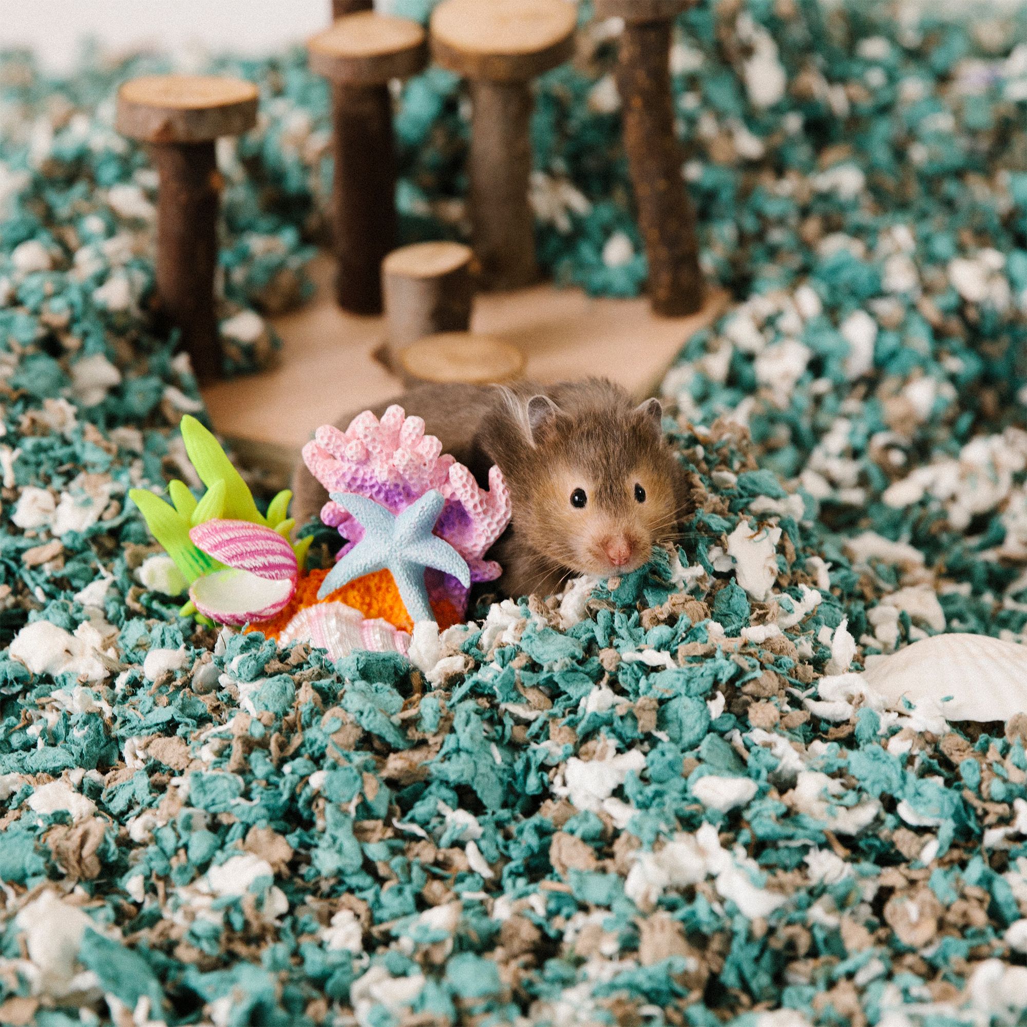 carefresh® Special Edition Small Pet Bedding - Seaside - thumbnail 5