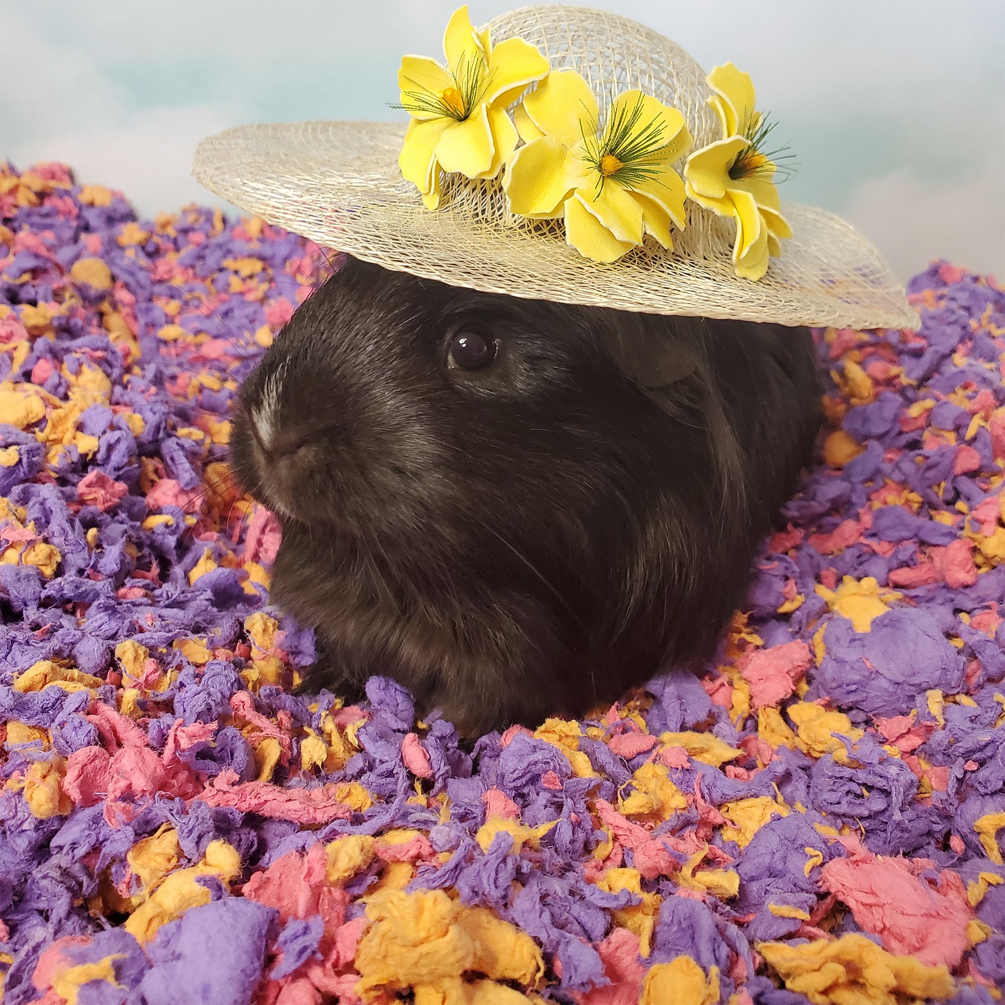 carefresh® Special Edition Small Pet Bedding - Beach Party - thumbnail 5