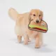 Product Joyhound Rip Roarin' Tough Hamburger Dog Toy - Tough Plush