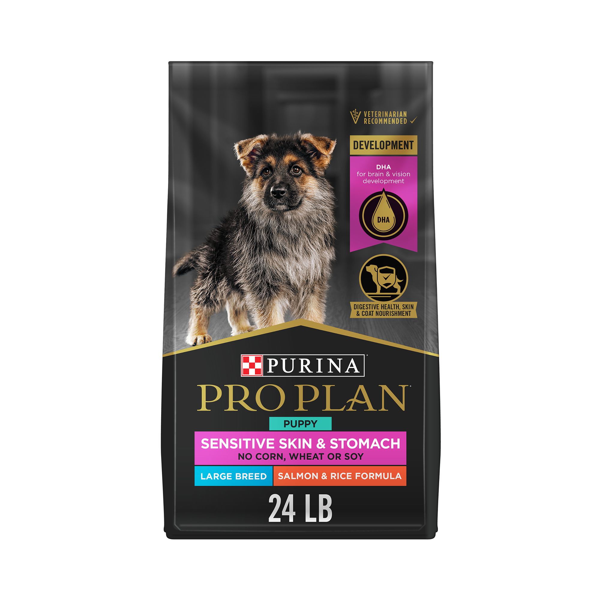 Purina dog chow large breed puppy best sale