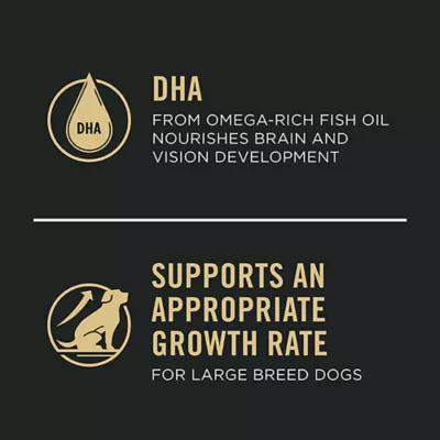 Product Purina Pro Plan Development Sensitive Skin & Stomach Large Breed Puppy Dry Dog Food - Salmon & Rice