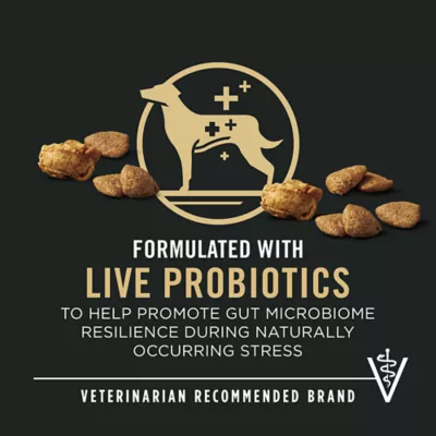 Product Purina Pro Plan Complete Essentials Shredded Blend Adult Dry Dog Food - Turkey & Rice