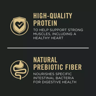 Product Purina Pro Plan Complete Essentials Shredded Blend Adult Dry Dog Food - Turkey & Rice