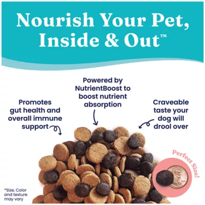 Petsmart solid gold dog food best sale