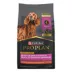 Purina Pro Plan Sensitive Skin & Stomach Senior 7+ Dry Dog Food - Salmon & Rice image thumbnail 7