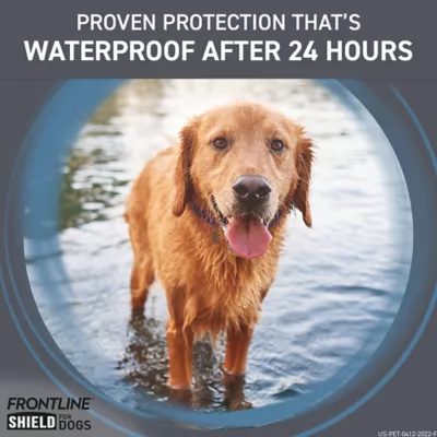 Product Frontline Shield Extra Strength Flea & Tick Spot Treatment for Dogs 11-20 Lbs