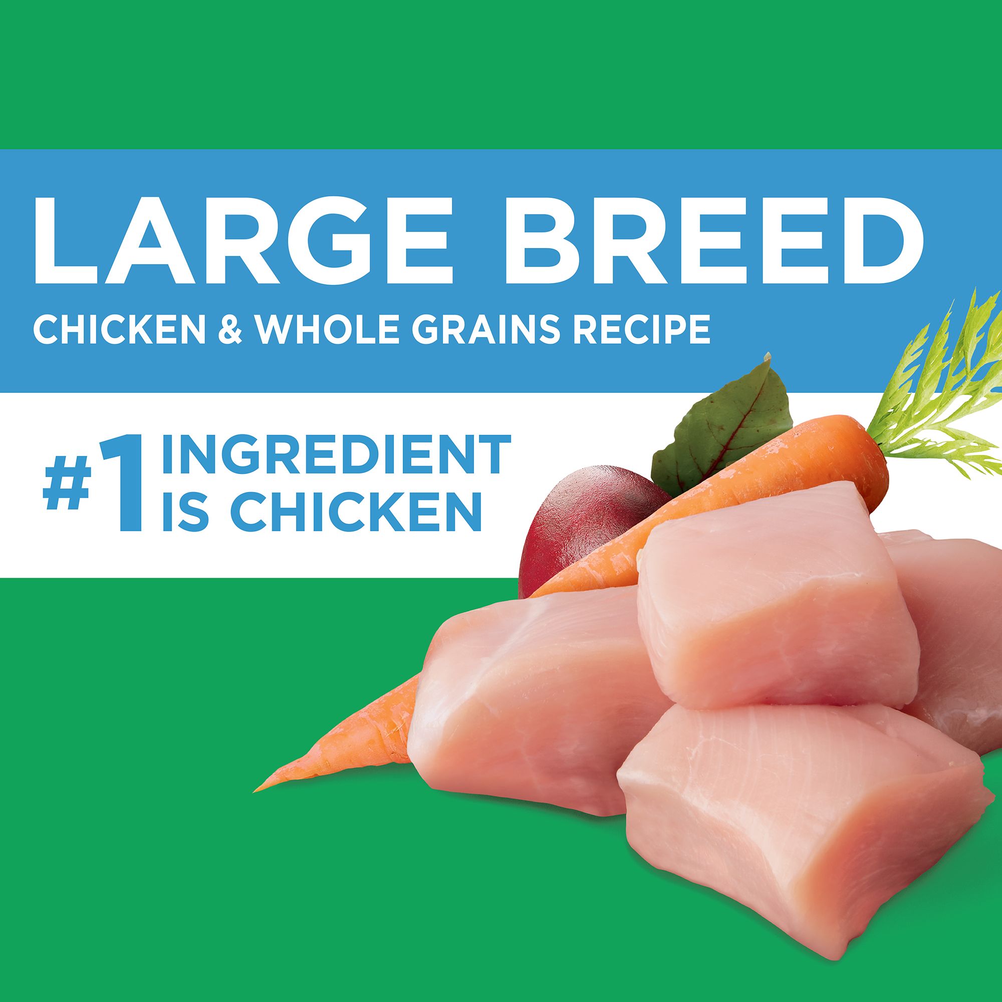 Iams Proactive Health Large Breed Adult Dry Dog Food with Real Chicken Whole Grains