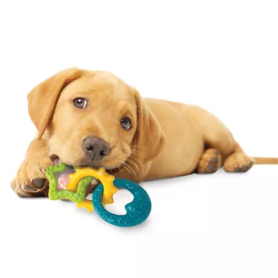 Nylabone Puppy Teething Rings