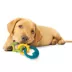 Nylabone® Power Puppy Chew Teething Ring Dog Toy - Bacon Flavor image thumbnail 4