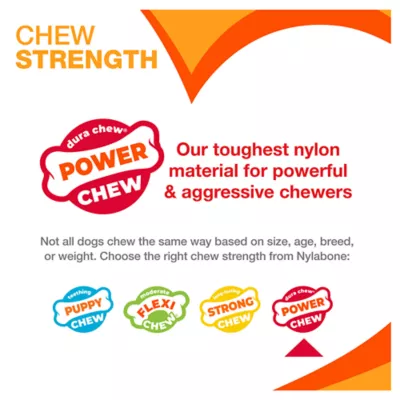 Product Nylabone® DuraChew® Power Chew Dog Toy - Bacon Flavor