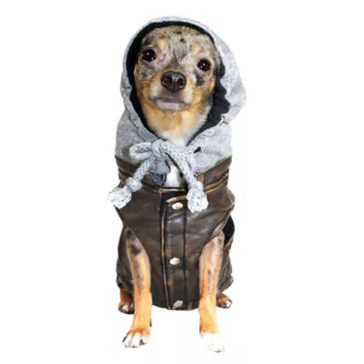 Hip Doggie Vintage Bomber Pet Jacket - Image 3