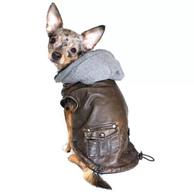 Hip Doggie Vintage Bomber Pet Jacket - Image 4