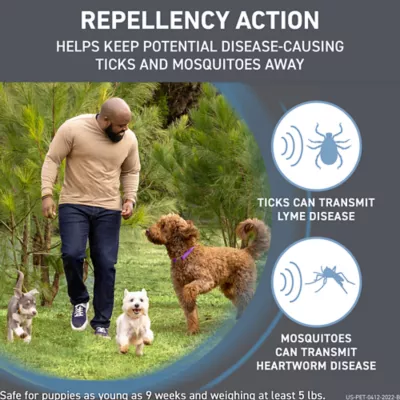 Product Frontline Shield Extra Strength Flea & Tick Spot Treatment for Dogs 21-40 Lbs