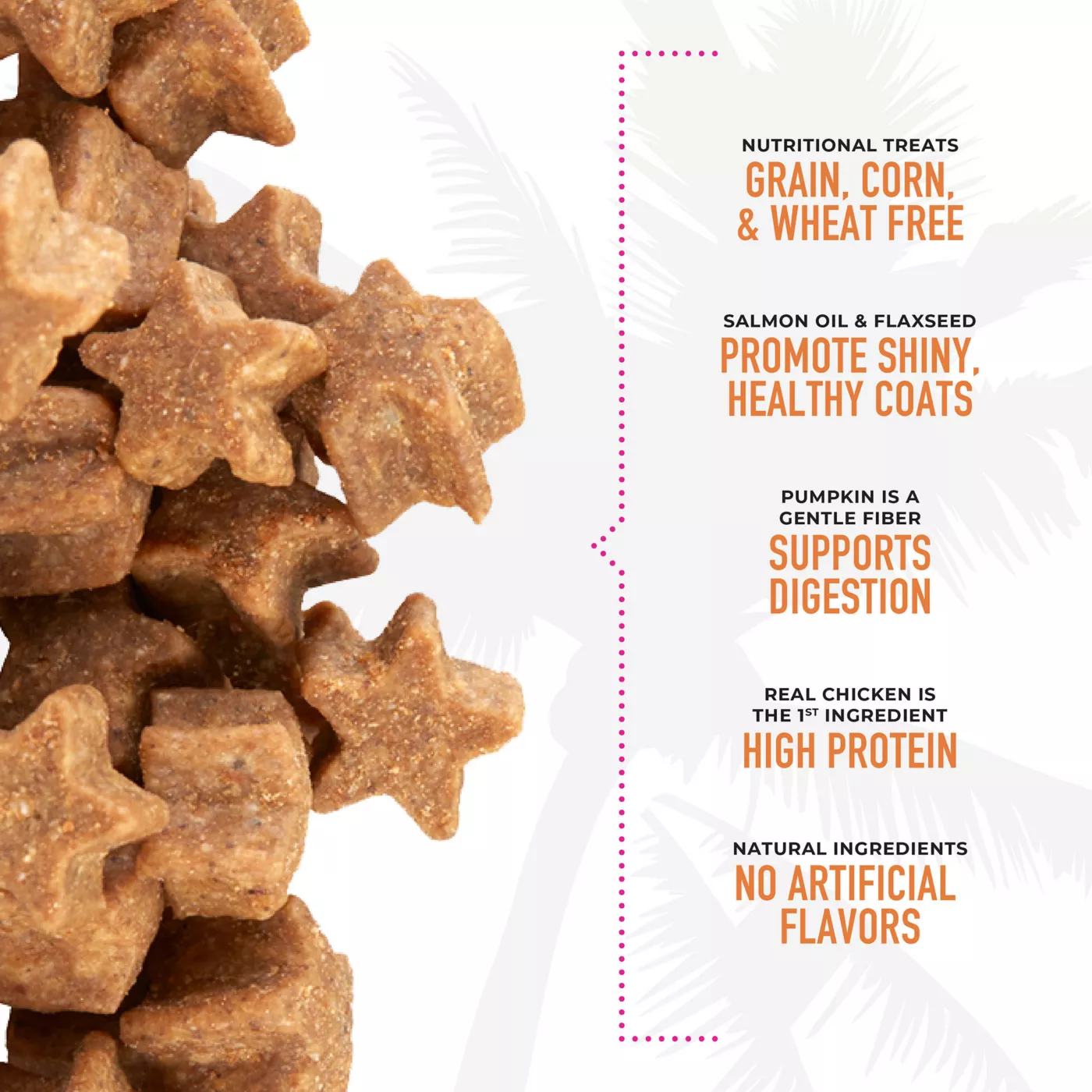 Tiki Cat Crunchers Cat Treats Grain Free High Protein
