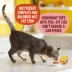 Meow Mix Tender Favorites Wet Cat Food All Ages - Salmon, Crab image thumbnail 6