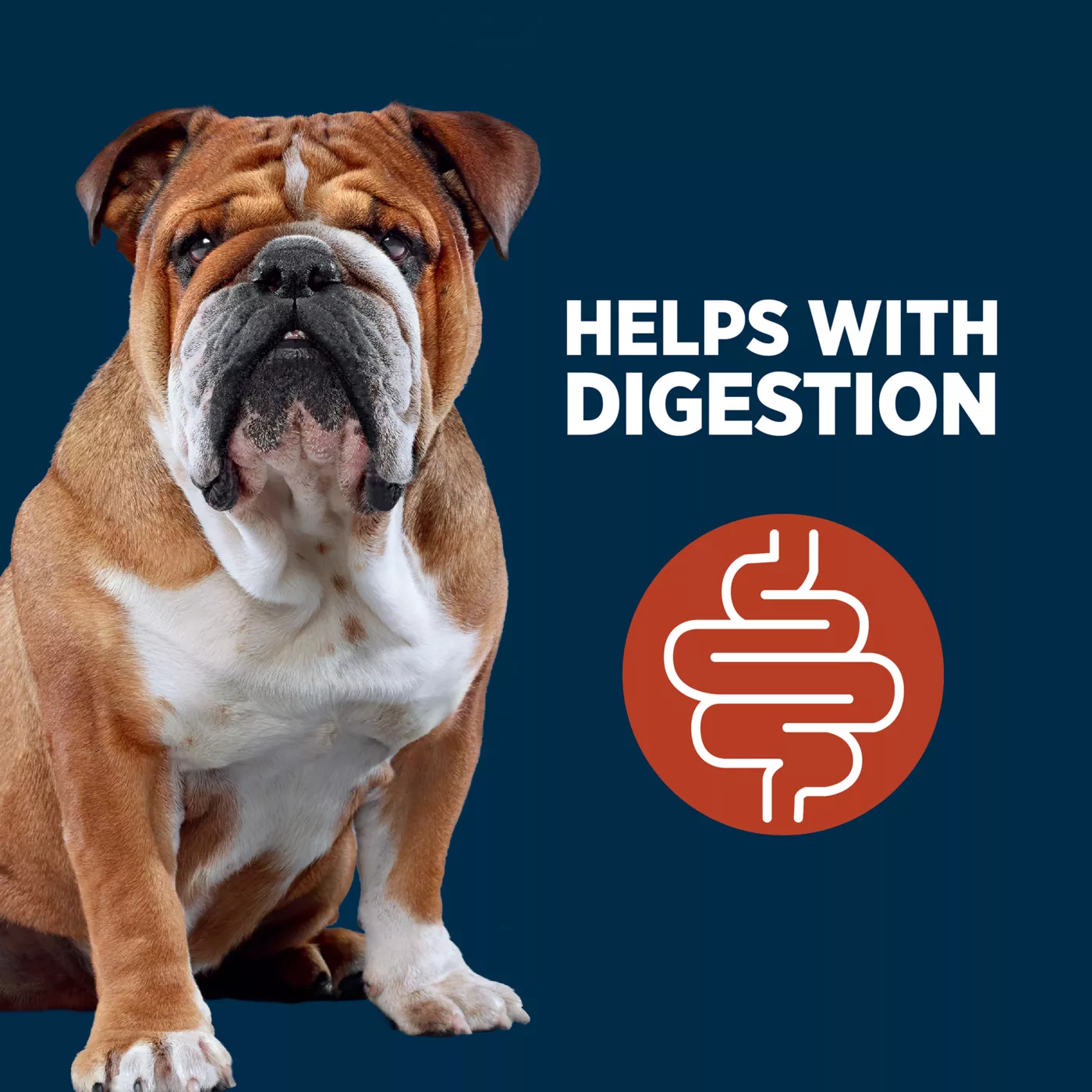 Dog constipation medicine petsmart hotsell