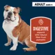 Product Authority® Digestive Support All Life Stages Wet Dog Food Supplement Topper - Pumpkin, 15 oz