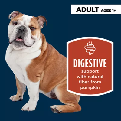 Authority Digestive Support All Life Stage Wet Dog Food 5.5 Oz