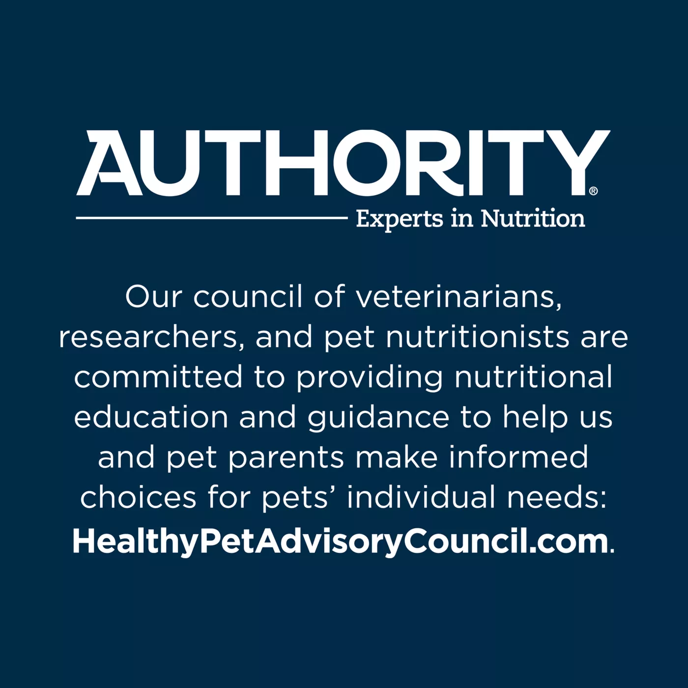 Authority canned dog food best sale