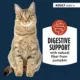 Product Authority® Digestive Support Cat Wet Food - 5.5 Oz, Puree, Grain Free