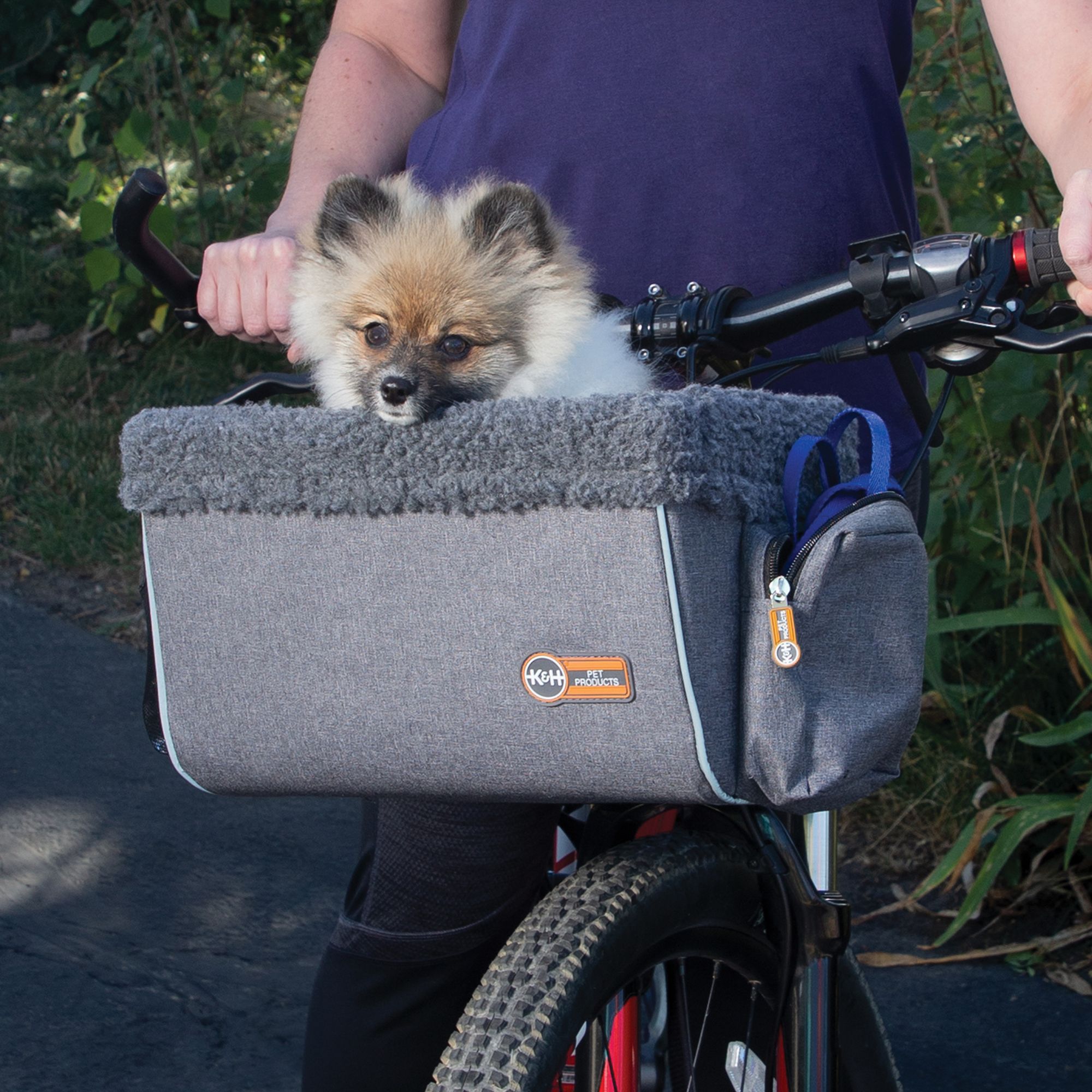 petsmart dog baskets for bikes