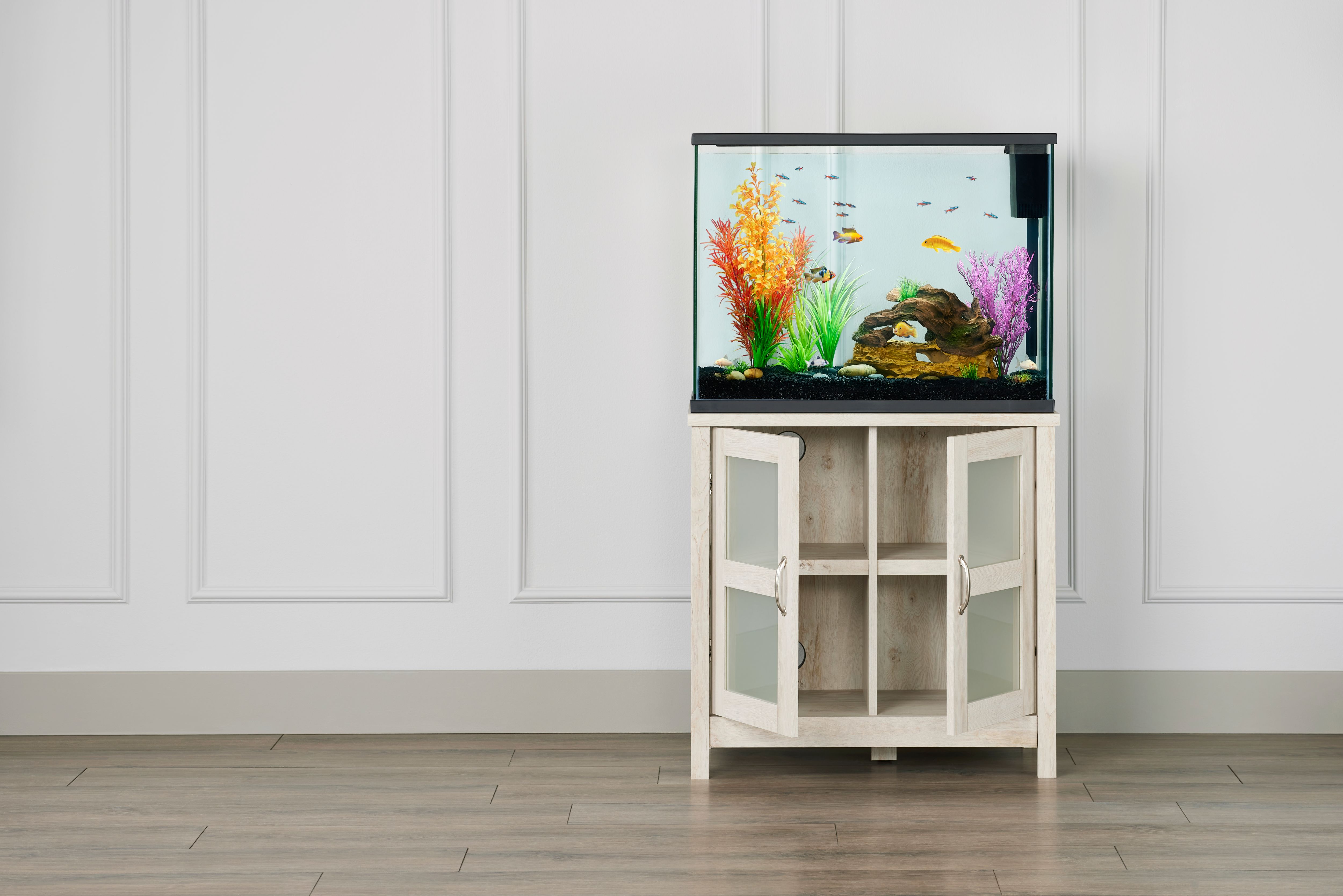 Petsmart aquariums shop and stands