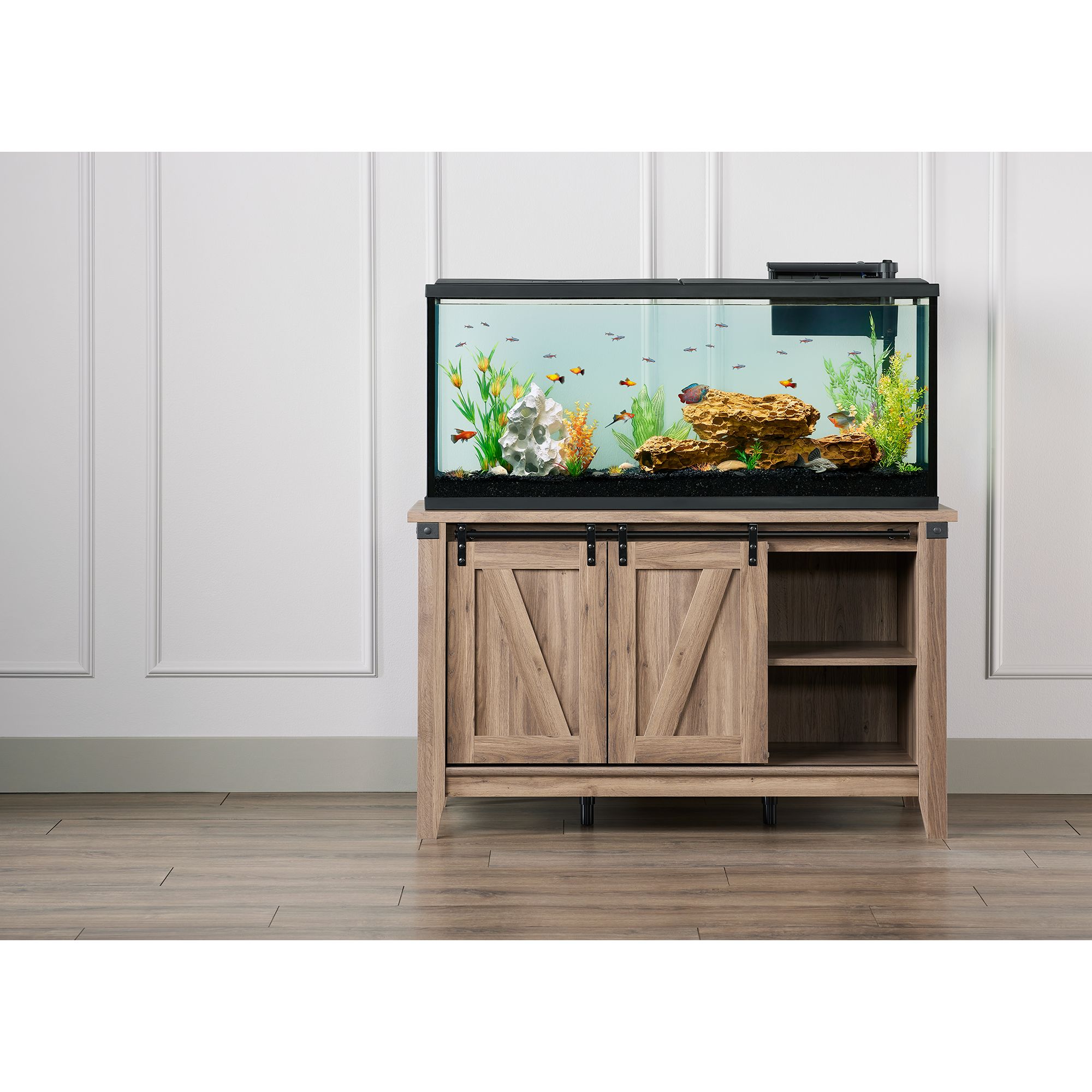 Focused on the Magic : Liven up your fish tank with PetSmart