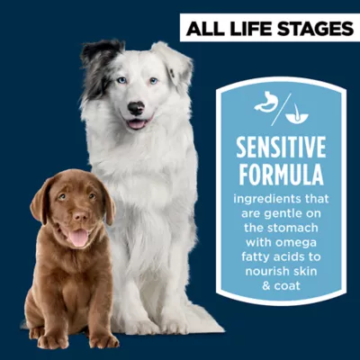 Product Authority® Sensitive Stomach & Skin All Life Stages Dry Dog Food - Salmon & Rice