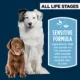 Product Authority® Sensitive Stomach & Skin All Life Stages Dry Dog Food - Salmon & Rice