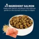 Product Authority® Sensitive Stomach & Skin All Life Stages Dry Dog Food - Salmon & Rice