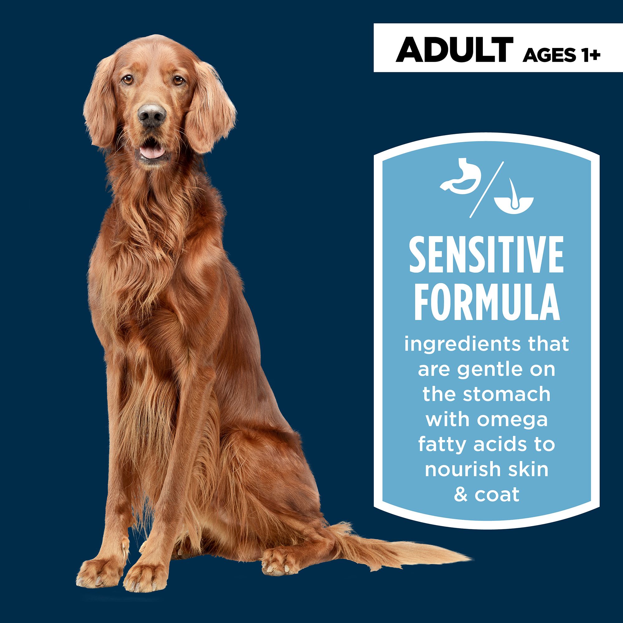 Authority Sensitive Stomach Skin Adult Dog Dry Food PetSmart in Tustin CA