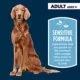 Product Authority® Sensitive Stomach & Skin Adult Dog Dry Food - Lamb & Rice