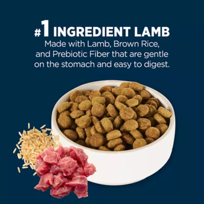 Authority Sensitive Stomach Skin Adult Dog Dry Food Lamb Rice