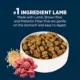 Product Authority® Sensitive Stomach & Skin Adult Dog Dry Food - Lamb & Rice