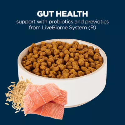 Product Authority® Gut Health Cat Dry Food - Salmon & Rice, With-Grain