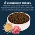 Authority® Sensitive Stomach & Skin Cat Dry Food - Turkey & Rice, With-Grain image thumbnail 3